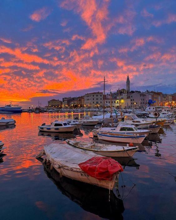 Studio Apartment La Maison De Catherine Rovinj Zewnętrze zdjęcie